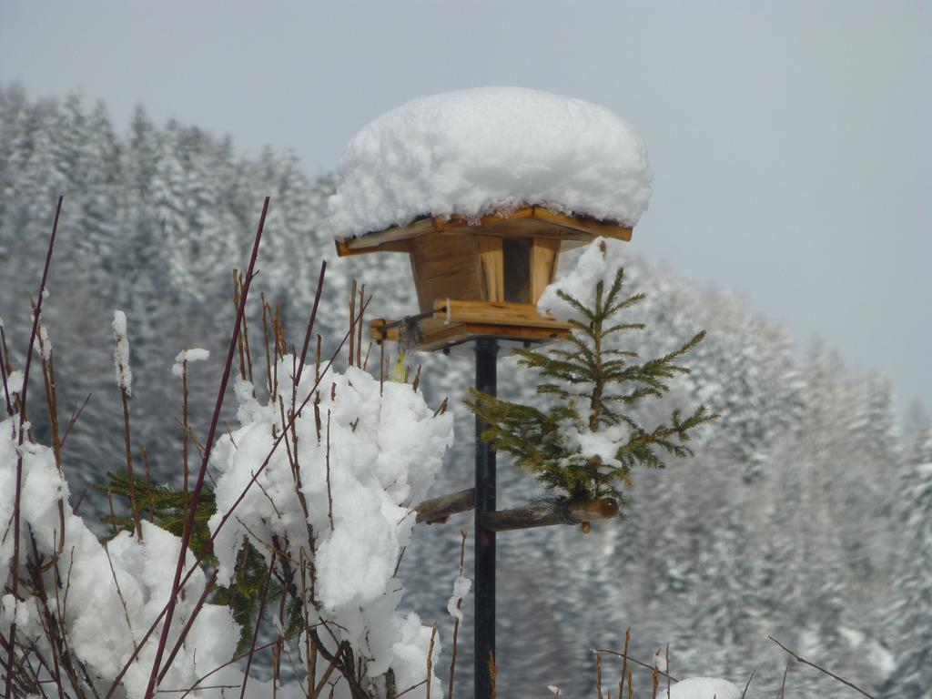 Guesthouse Mountain View Grosskirchheim Exterior photo